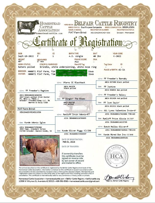 Belfair registration cert