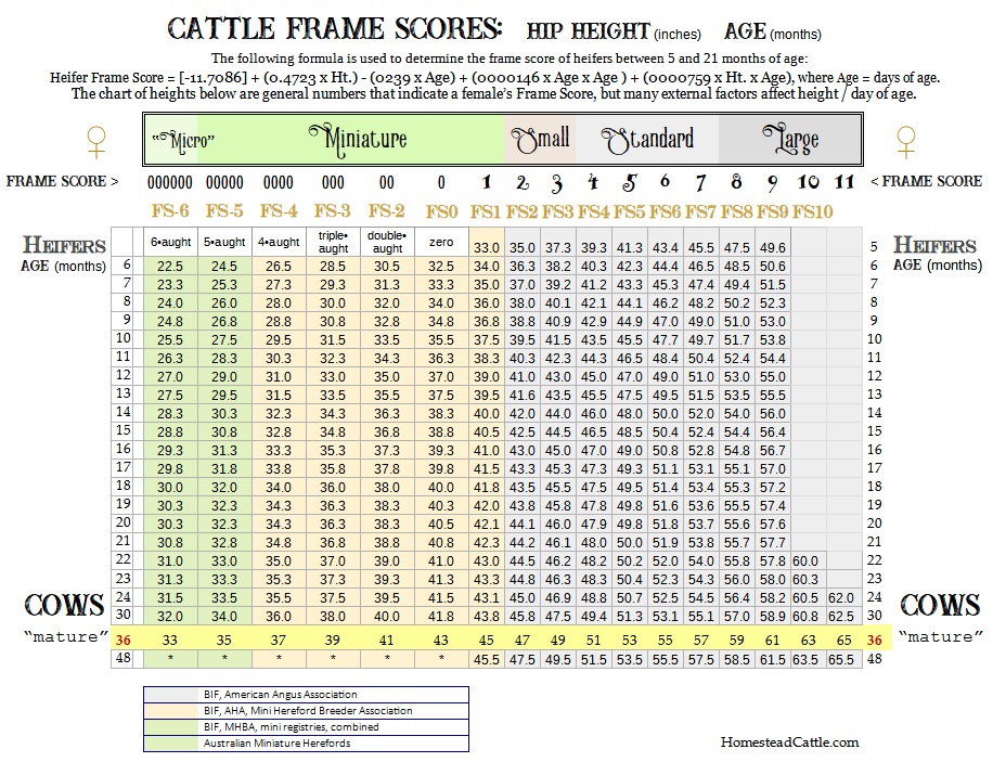 COW FS Chart