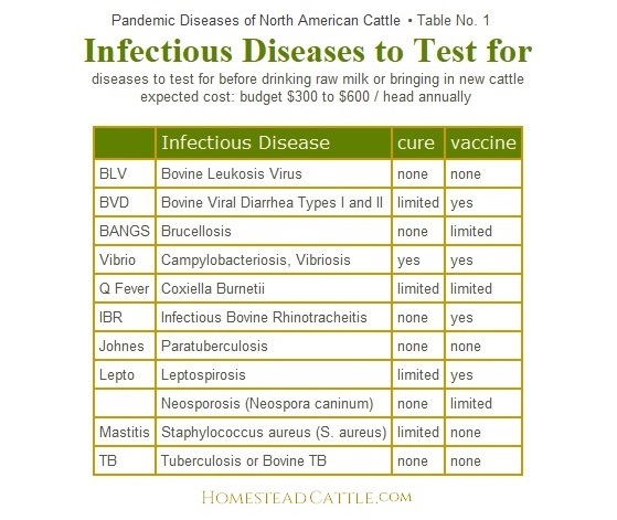 infectious diseases to test for in North American cattle