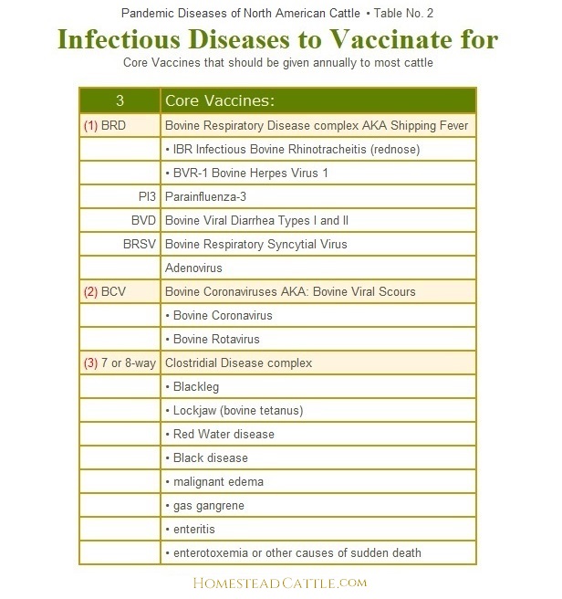 vaccinations for infectious diseases of cattle