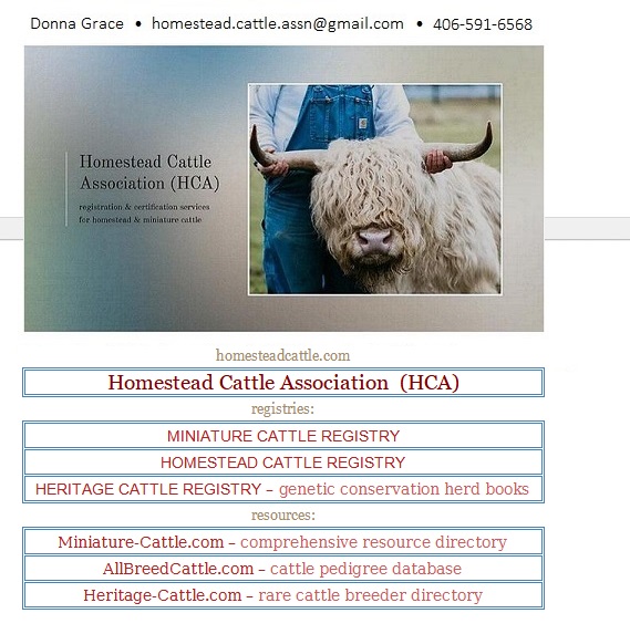 HCA Homestead Cattle Association & registry