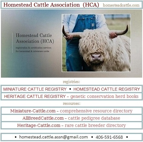 Homestead Cattle Association (HCA)