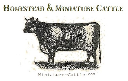 Homestead & Miniature Catle Sire Directory