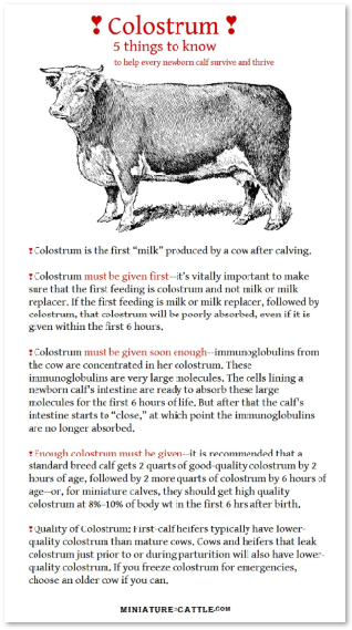 “Colostrum; 5 Things to Know”